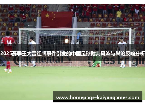2025赛季王大雷红牌事件引发的中国足球裁判风波与舆论反响分析