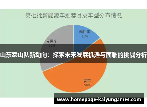 山东泰山队新动向：探索未来发展机遇与面临的挑战分析
