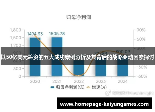 以50亿美元筹资的五大成功案例分析及其背后的战略驱动因素探讨