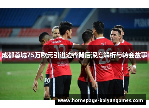 成都蓉城75万欧元引进边锋背后深度解析与转会故事