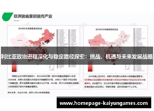 利比亚政治进程深化与稳定路径探索：挑战、机遇与未来发展战略