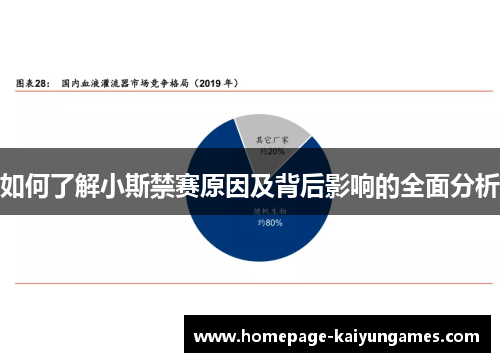 如何了解小斯禁赛原因及背后影响的全面分析 如何了解小斯禁赛原因及背后影响的全面分析