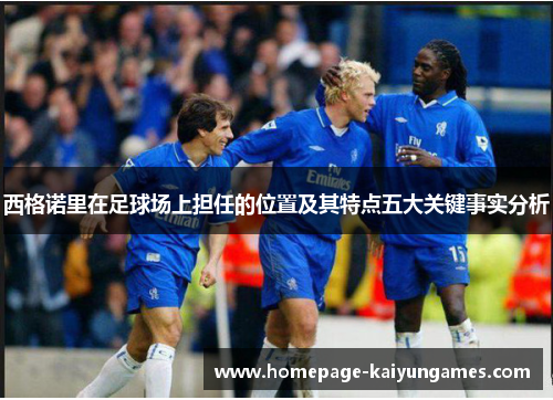 西格诺里在足球场上担任的位置及其特点五大关键事实分析 西格诺里在足球场上担任的位置及其特点五大关键事实分析