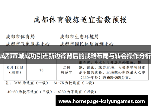 成都蓉城成功引进新边锋背后的战略布局与转会操作分析
